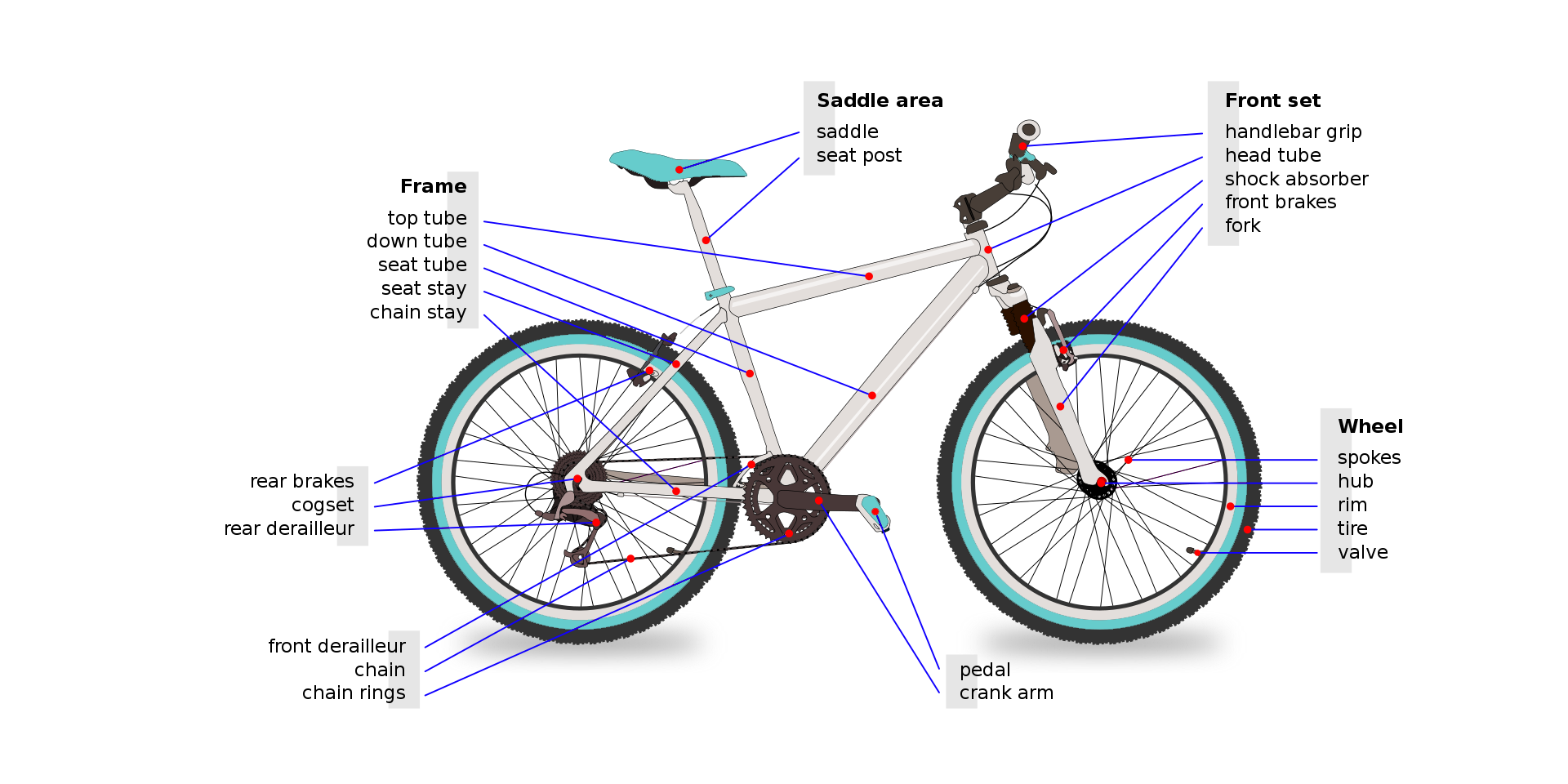 Bicycle Components Illustration